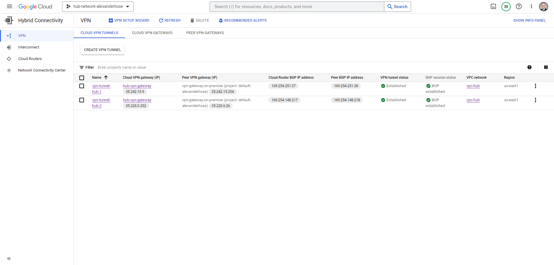 VPN Overview with successful BGP session